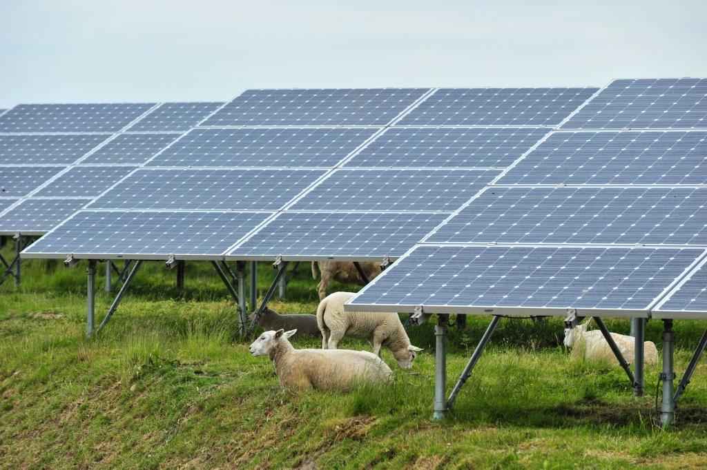 The Rise In Solar Panel Thefts - How To Protect Your Solar Farm