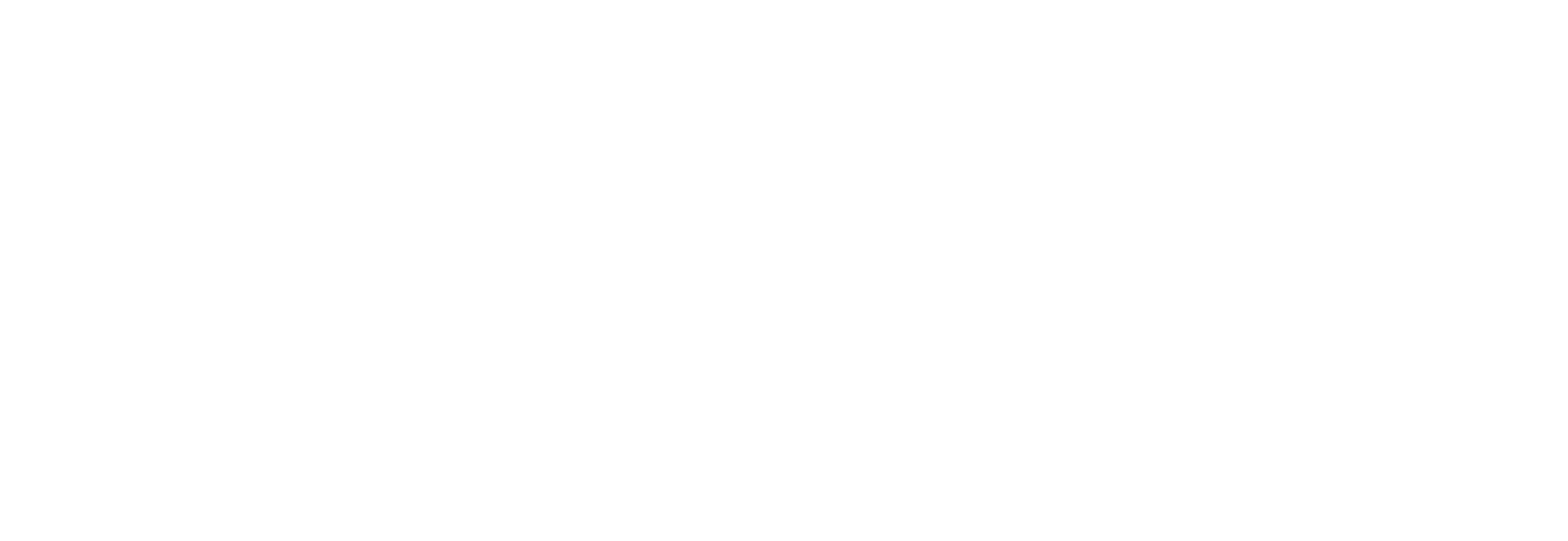 Elite AV Services Logo White
